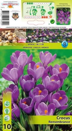 Минзухар Remembrance