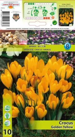 Минзухар Golden Yellow