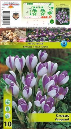 Минзухар Vanguard