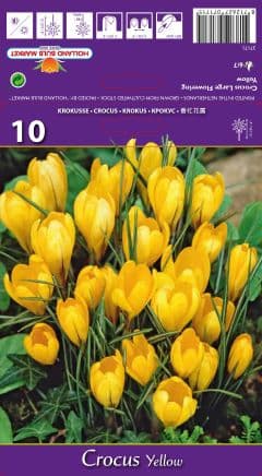 Минзухар Yellow