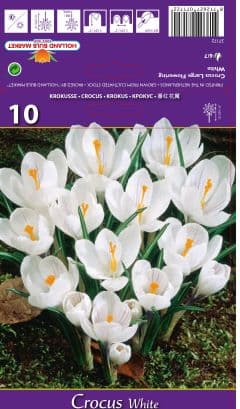 Минзухар White