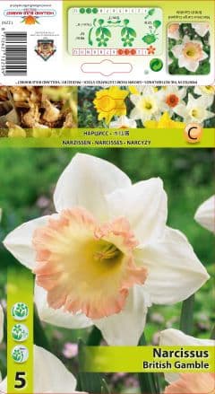 Нарцис British Gamble