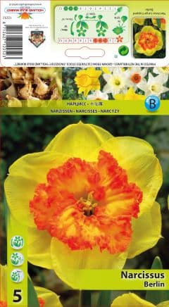 Нарцис Berlin