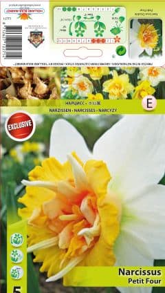 Нарцис Petit Four