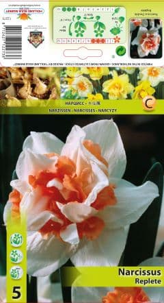 Нарцис Replete