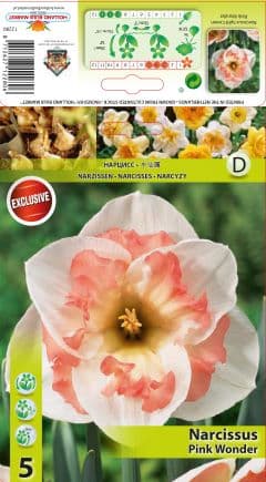 Нарцис Pink Wonder