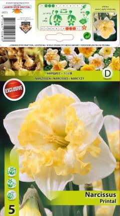 Нарцис Printal