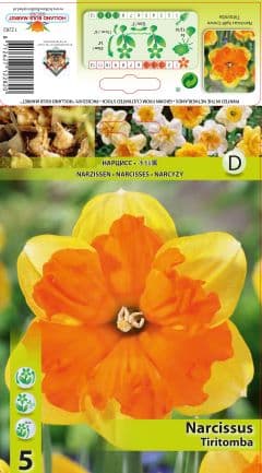 Нарцис Tritomba