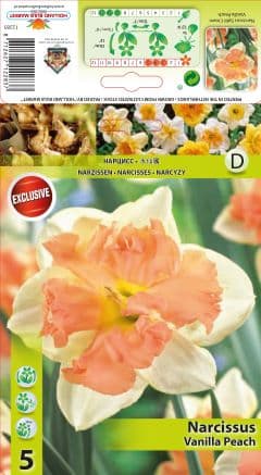 Нарцис Vanilla Peach