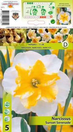 Нарцис Sunset Serenade