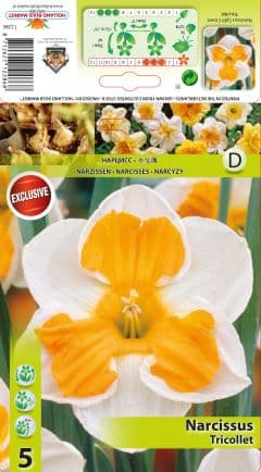 Нарцис Tricolette