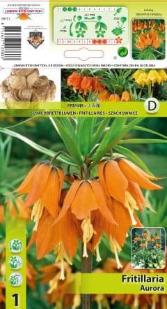 Фритилария Aurora