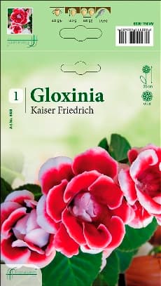 Глоксиния Kaiser Friedrich