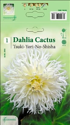 Далия Tsuki-Yori-No-Shisha