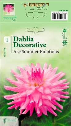 Далия Ace Summer Emotions