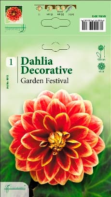 Далия Garden Festival