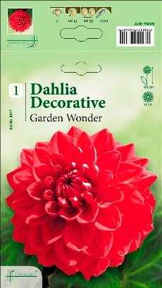 Далия Garden Wonder