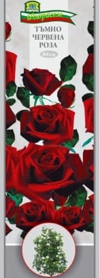 Роза Тъмно червена