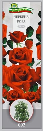 Роза Червена