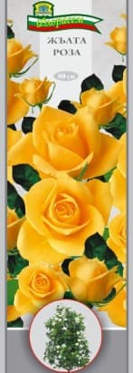 Роза Жълта