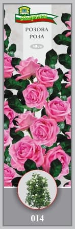 Роза Розова