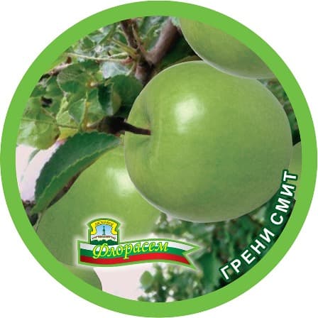 Ябълка Грени смит