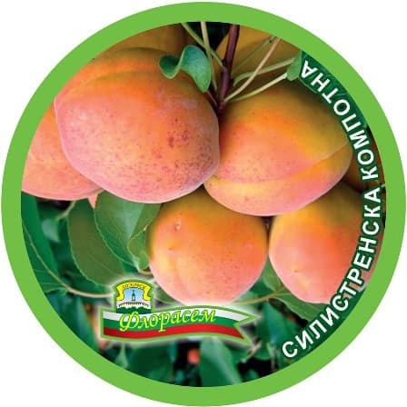 Кайсия Силистренска компотна