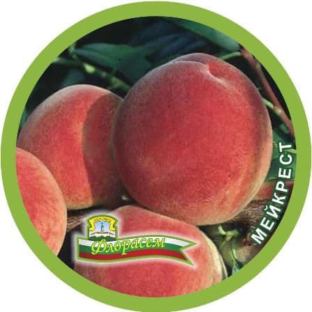 Праскова Мейкрест